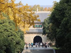 -灵谷景区
