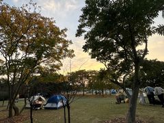 -上海滨江森林公园