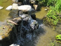 -白水寺森林公园