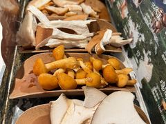 -芸山季·云南山珍菌火锅(南翔印象城MEGA店)