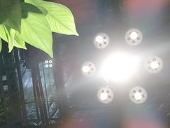 -RD卡丁车汽车俱乐部