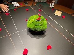 -觀芷隐轩