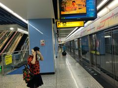 -大龙山(地铁站)