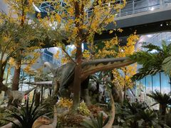 -湖南省地质博物馆