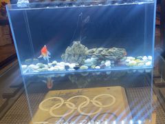 -苹果树下艺术餐厅(通州店)