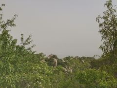 -北京凤凰岭