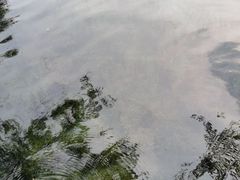 -百脉泉景区