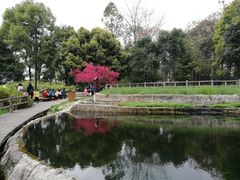 -成都市活水公园