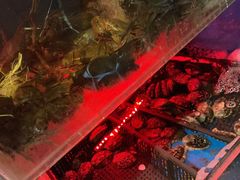 水产区-臻鲜燕海鲜融合餐厅(金陵style店)