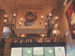 -猫咪博物馆(顶澳仔猫街店)