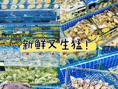 -巽寮湾