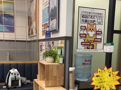 -伟伟宠物医院·瑞派猫友好医院·猫科(光谷店)