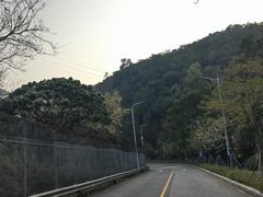 -梧桐山风景名胜区