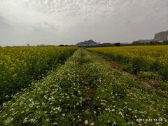 -光明小镇欢乐田园
