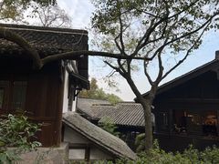 -中国茶叶博物馆(双峰馆区)
