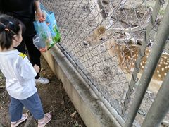 -西安秦岭野生动物园