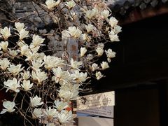 -龙华寺