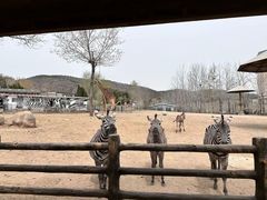 -大连森林动物园