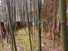 -白帝城·瞿塘峡景区
