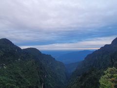 -串妹花式冰粉(乐山总店)