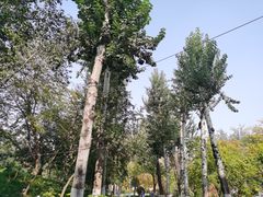 -西安市长乐公园