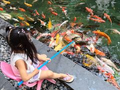 -三亚湾海居雅高铂尔曼度假酒店