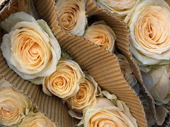 -循礼门鲜花花市(武汉循礼门店)