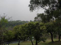 -飞凤山奥体公园