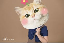 -西瓜庄园儿童摄影