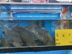 -醉壹号海鲜大排档(厦门美食地标店)