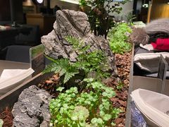 -芯元·碳烤熟成牛肉(经开店)