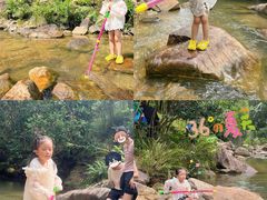 -广州白江湖森林公园