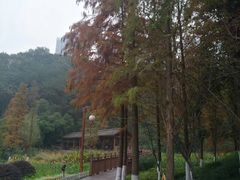 -重庆彩云湖湿地公园