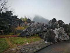 -千岛湖石林