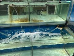-家乐福(川沙店)