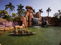 -美的鹭湖探索王国