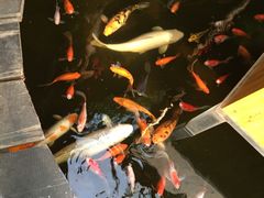 -上海大自然野生昆虫馆