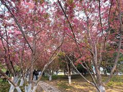 -元大都城垣遗址公园