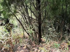 -合肥三国新城遗址公园