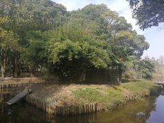 -长兴岛郊野公园农场食堂