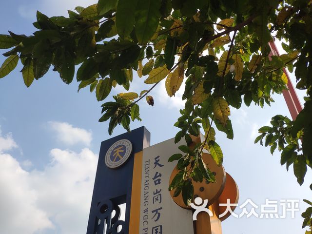 天台岗小学万国城校区图片