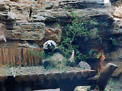 -石家庄市动物园