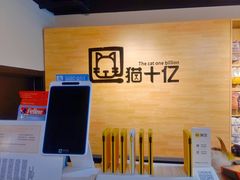-猫十亿·布偶金渐层·曼基康矮脚猫舍(青年路店)