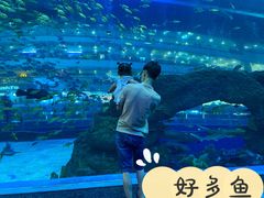 -成都浩海立方海洋公园