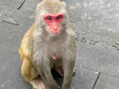 -千岛湖东南湖区