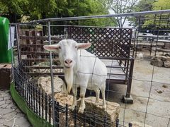 -神户市立六甲山牧场