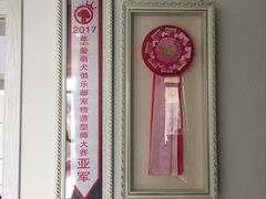 -翊宠yipet猫狗购宠庄园犬舍•猫舍