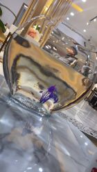 点击看大图 -尚·丹尼Hair