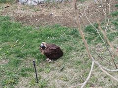 -鄂尔多斯野生动物园