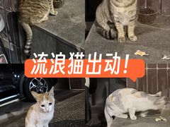 -耙吉吉川味小酒馆(本地人回头店)
